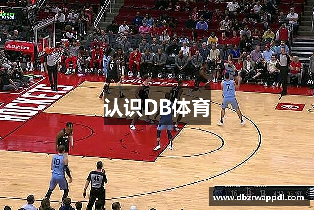 认识DB体育